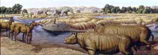 miocene animals